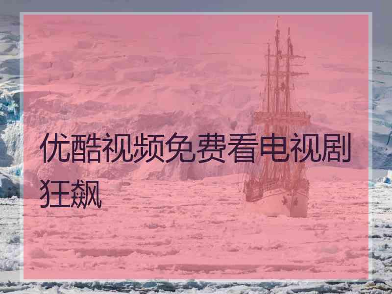 优酷视频免费看电视剧狂飙