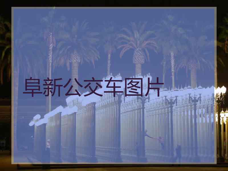 阜新公交车图片