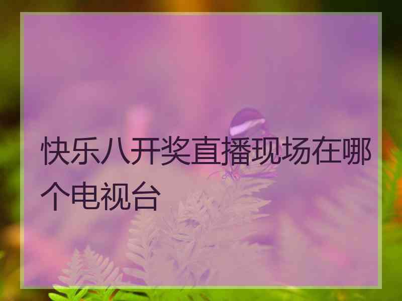 快乐八开奖直播现场在哪个电视台