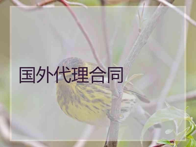 国外代理合同