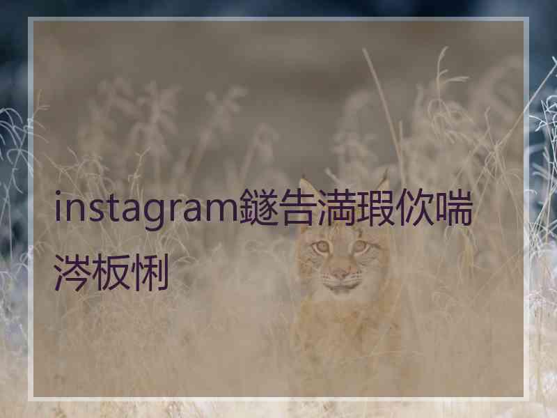 instagram鐩告満瑕佽喘涔板悧