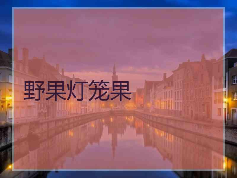 野果灯笼果