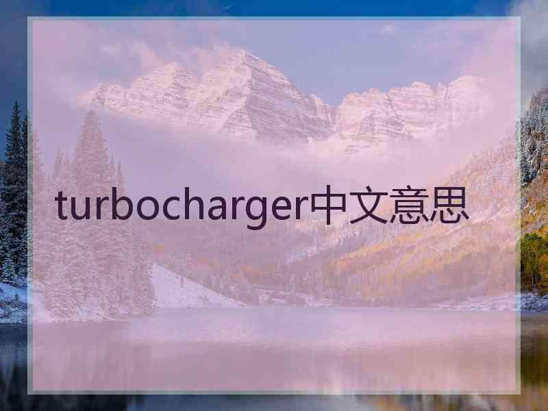 turbocharger中文意思