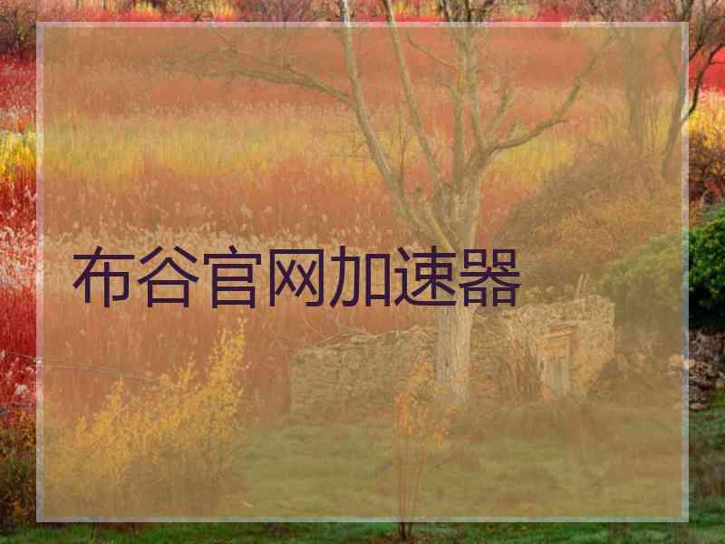 布谷官网加速器
