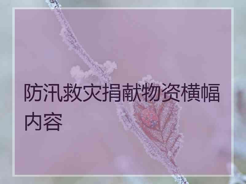 防汛救灾捐献物资横幅内容