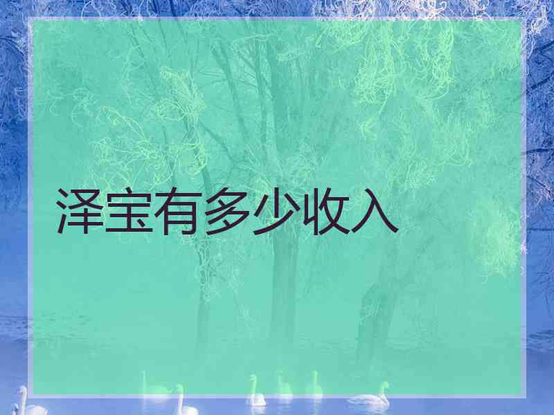 泽宝有多少收入