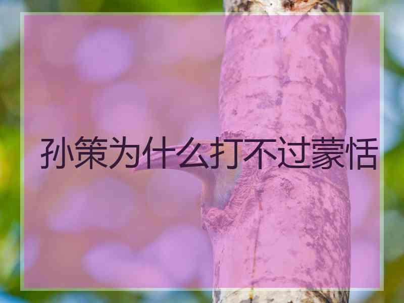 孙策为什么打不过蒙恬