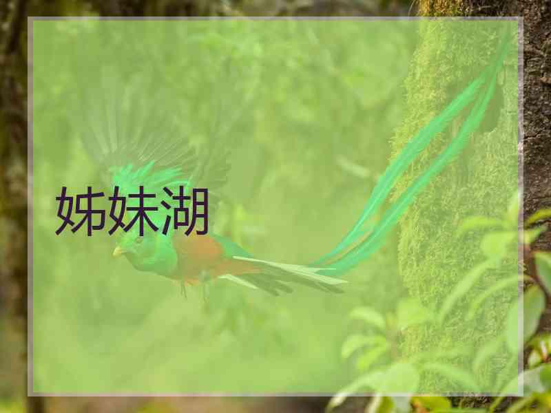 姊妹湖