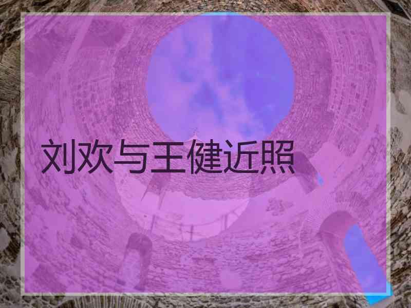 刘欢与王健近照