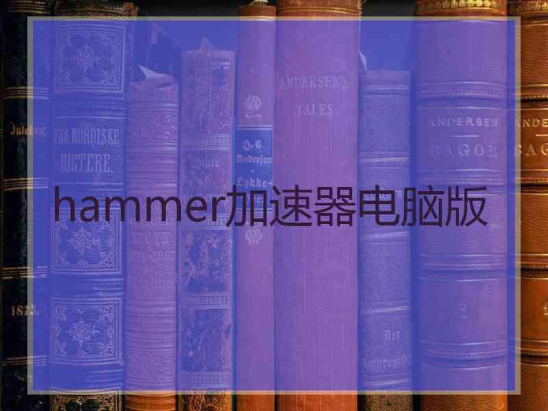 hammer加速器电脑版