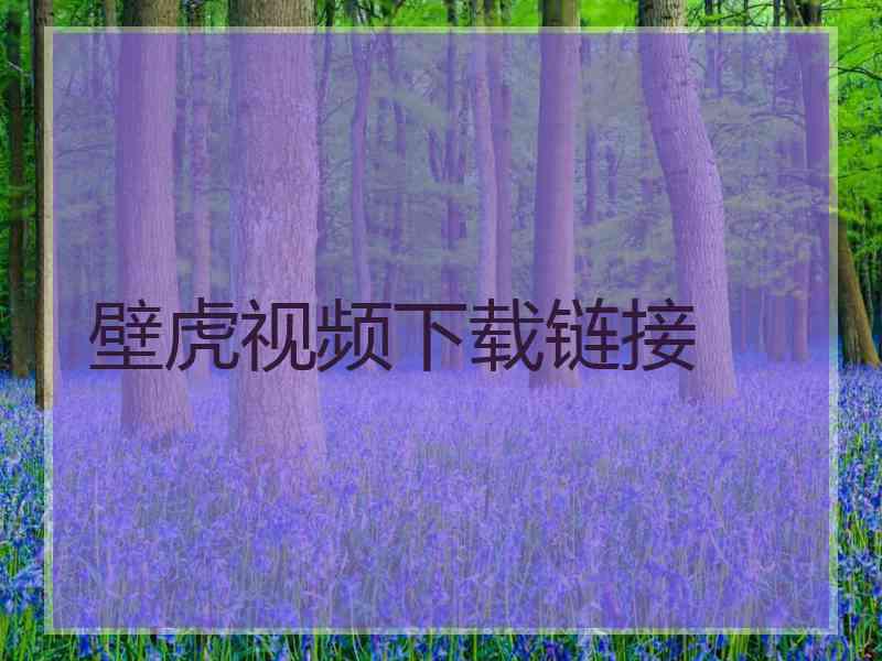 壁虎视频下载链接