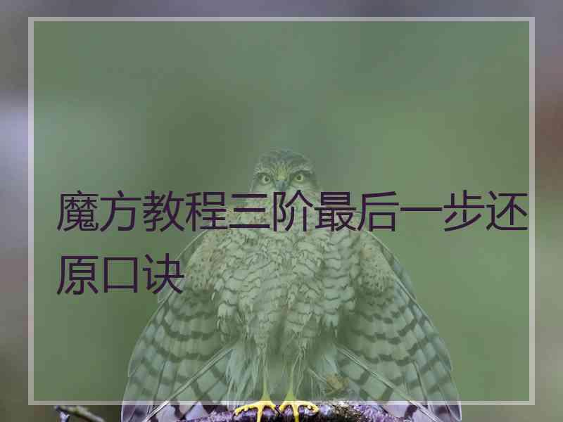 魔方教程三阶最后一步还原口诀