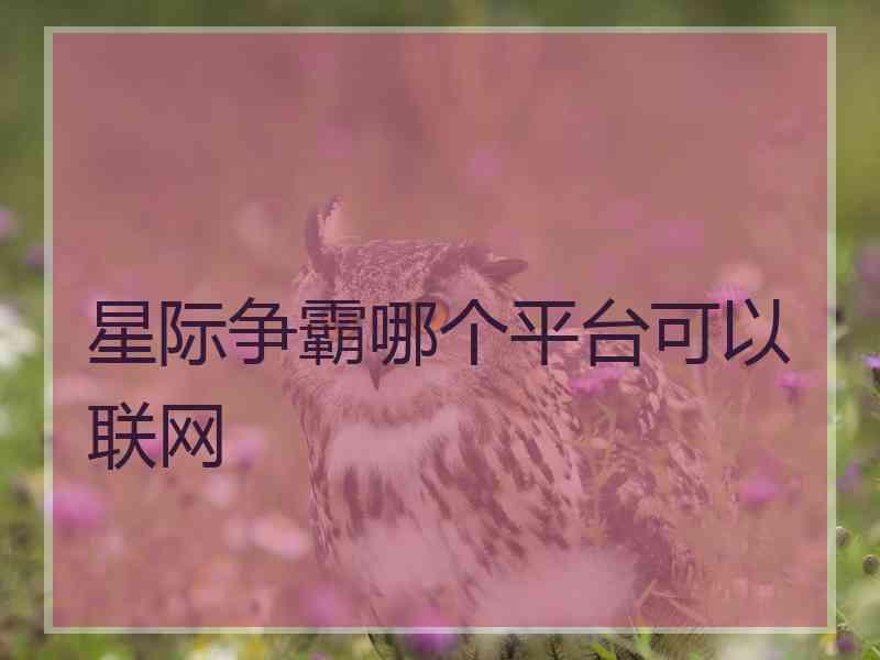 星际争霸哪个平台可以联网