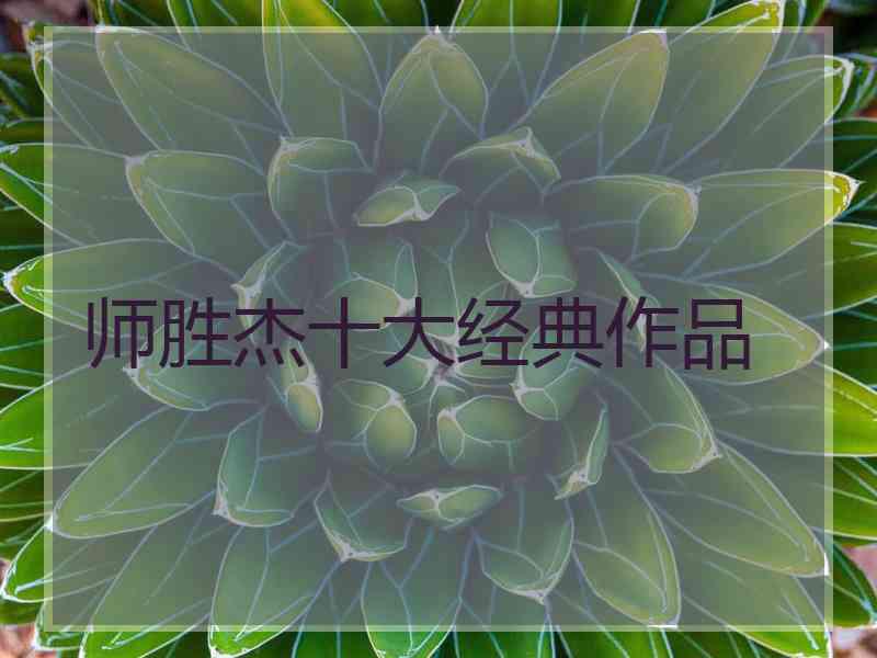 师胜杰十大经典作品