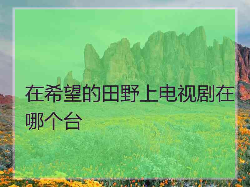 在希望的田野上电视剧在哪个台