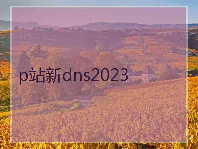 p站新dns2023