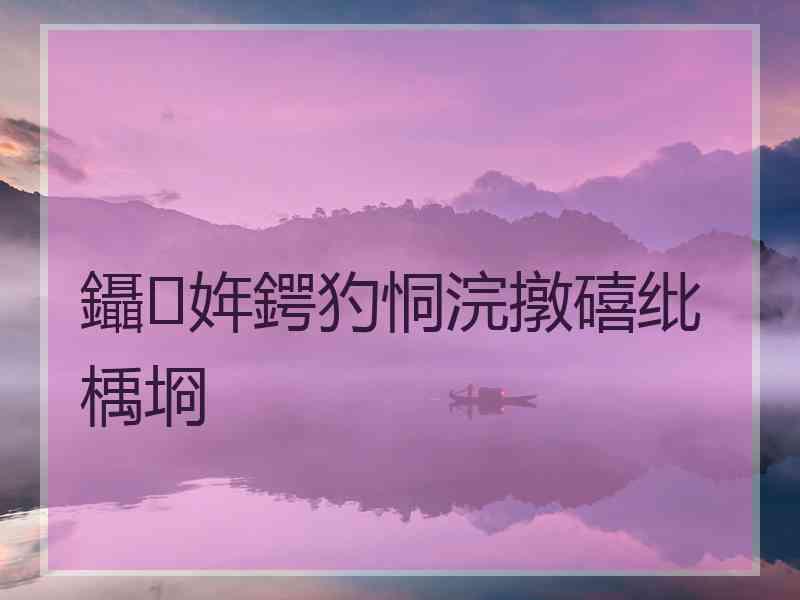 鑷姩鍔犳恫浣撴礂纰楀埛