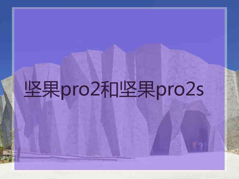 坚果pro2和坚果pro2s