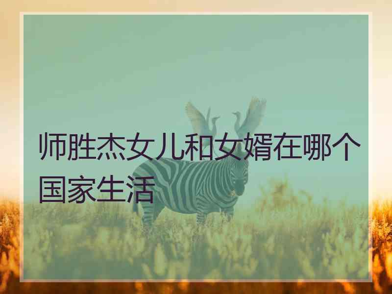 师胜杰女儿和女婿在哪个国家生活