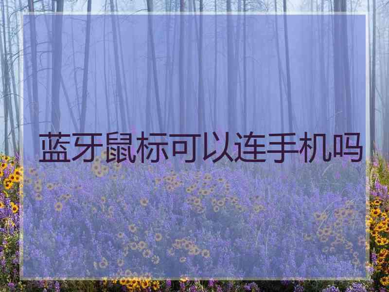 蓝牙鼠标可以连手机吗