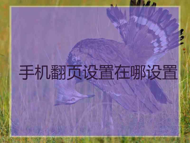 手机翻页设置在哪设置