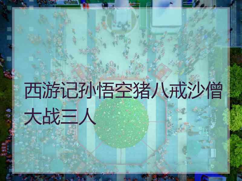 西游记孙悟空猪八戒沙僧大战三人