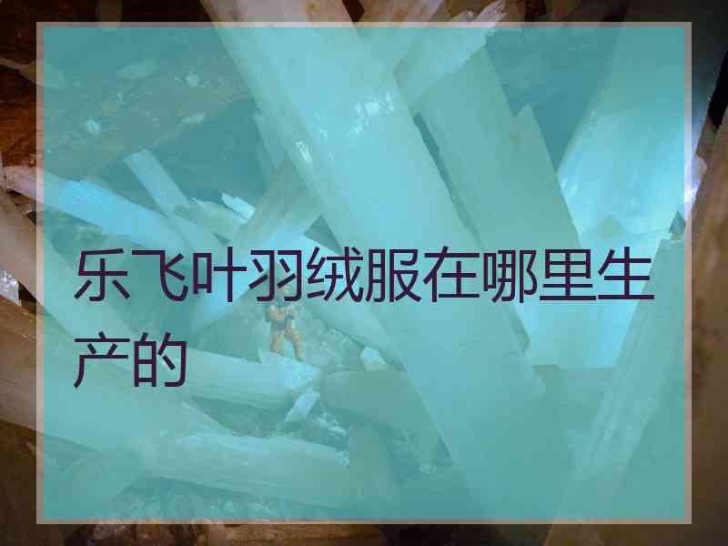 乐飞叶羽绒服在哪里生产的