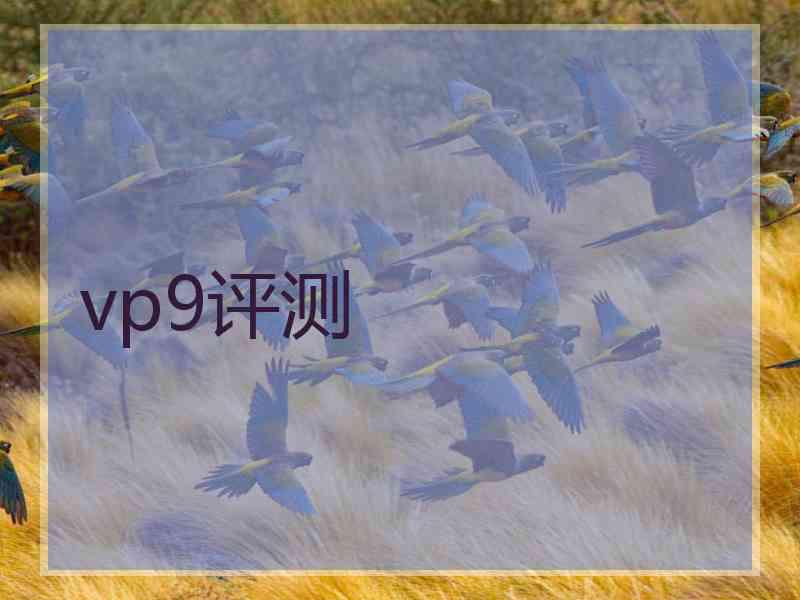 vp9评测