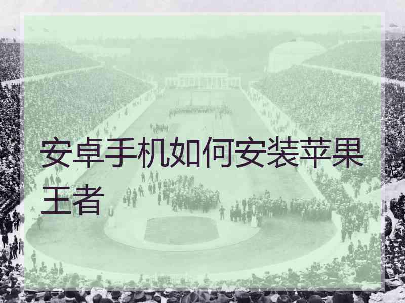 安卓手机如何安装苹果王者
