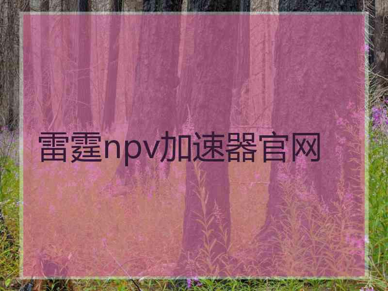雷霆npv加速器官网