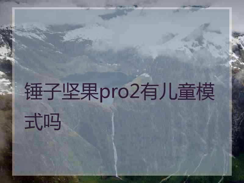 锤子坚果pro2有儿童模式吗
