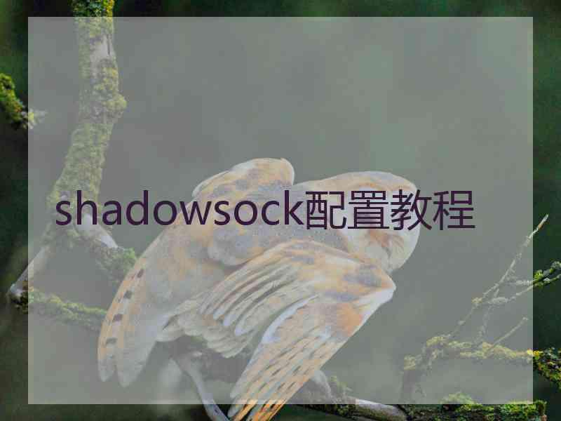 shadowsock配置教程