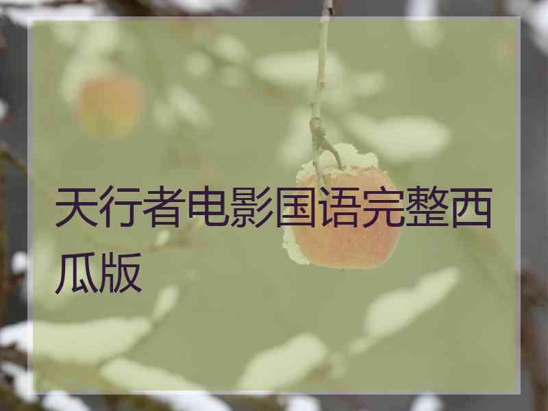 天行者电影国语完整西瓜版