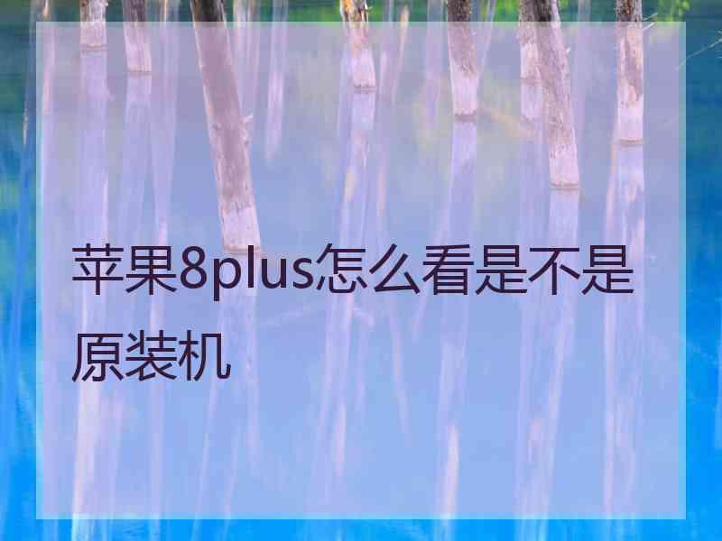 苹果8plus怎么看是不是原装机