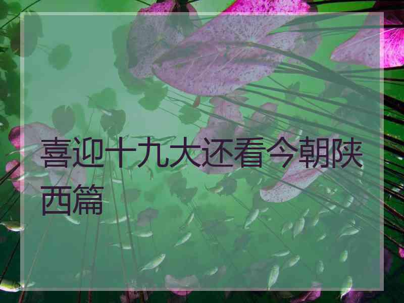 喜迎十九大还看今朝陕西篇