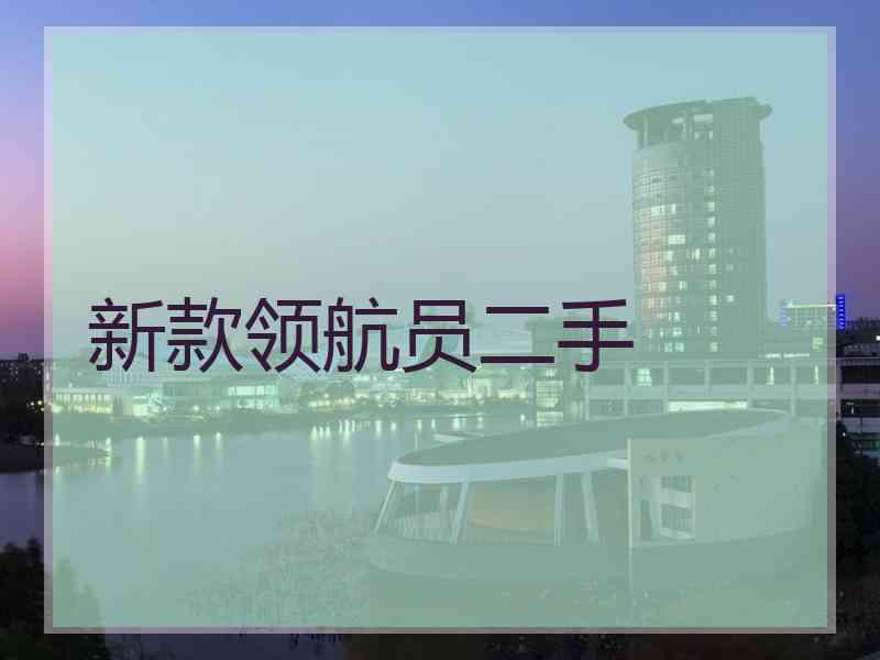 新款领航员二手