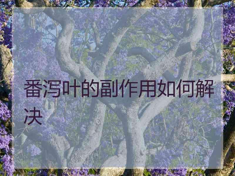 番泻叶的副作用如何解决