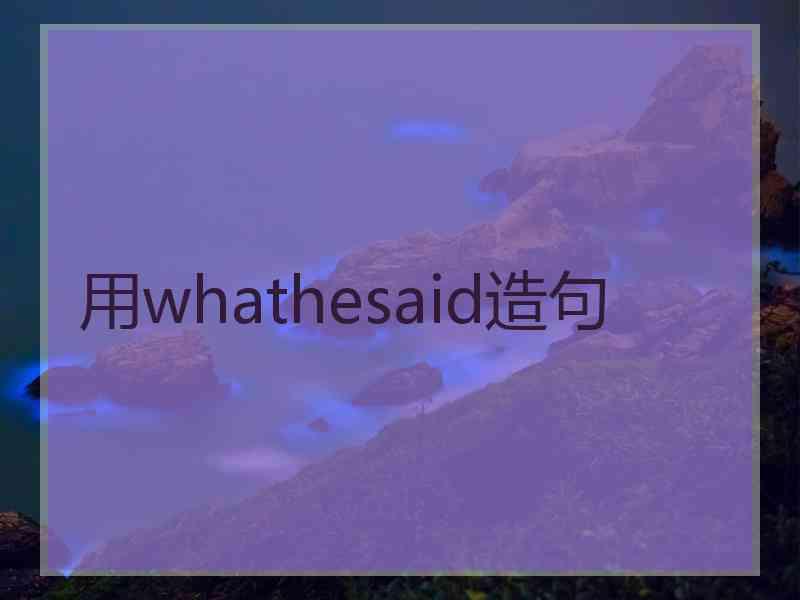 用whathesaid造句