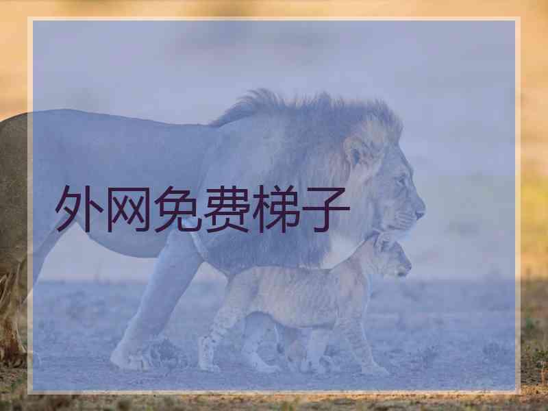 外网免费梯子