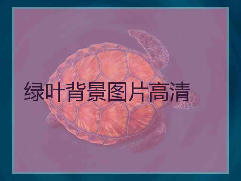 绿叶背景图片高清