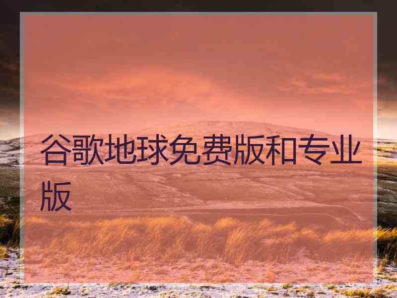 谷歌地球免费版和专业版