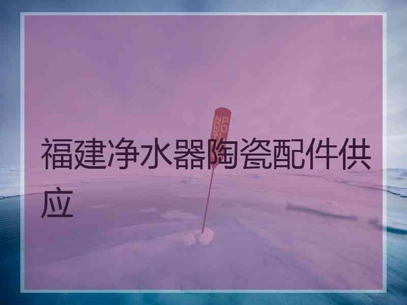 福建净水器陶瓷配件供应