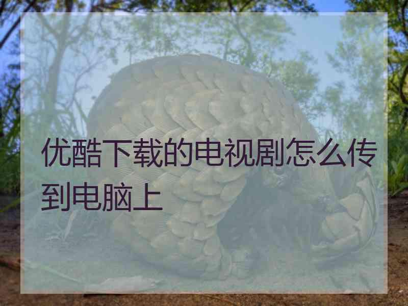 优酷下载的电视剧怎么传到电脑上