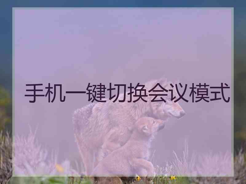 手机一键切换会议模式