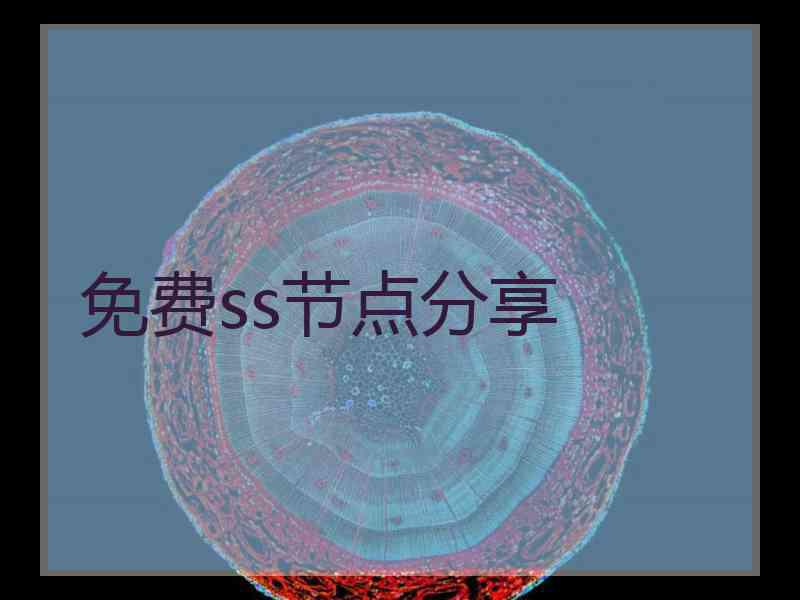 免费ss节点分享