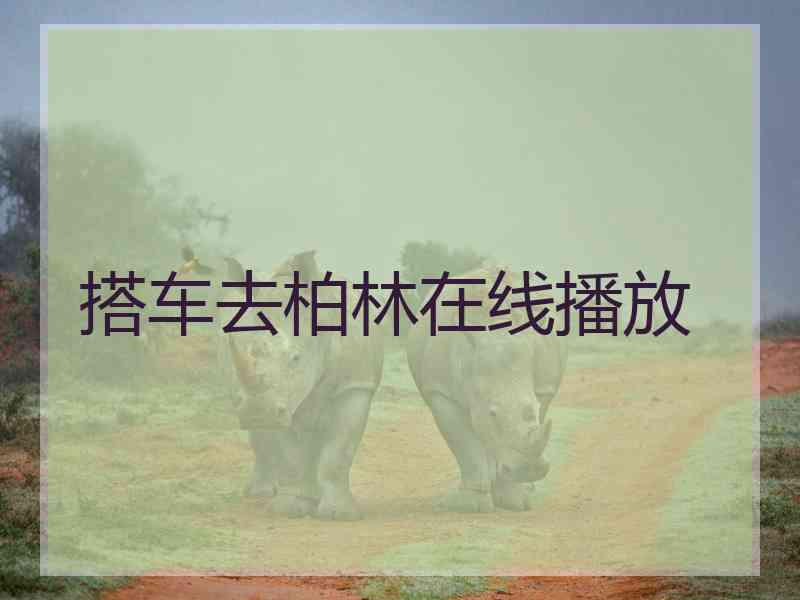 搭车去柏林在线播放