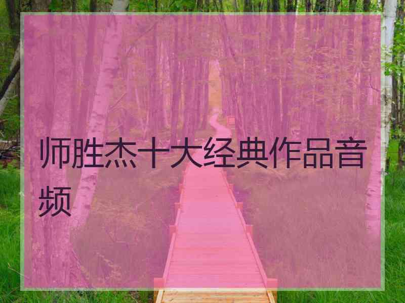 师胜杰十大经典作品音频