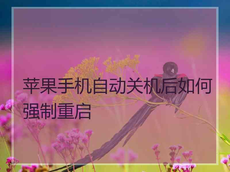 苹果手机自动关机后如何强制重启