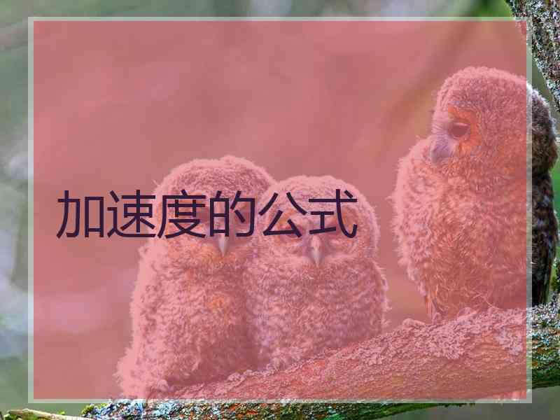 加速度的公式