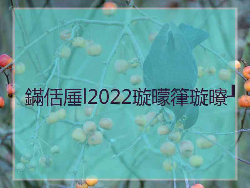 鏋佸厜l2022璇曚箻璇曢┚